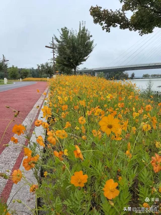 秋雨绵绵漳泽湖