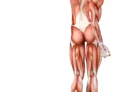 什么疾病，可以导致“腿疼”和“腿麻”？这几类比较常见图片