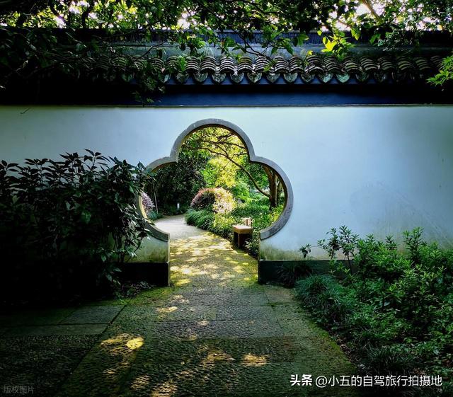 杭州满觉陇桂花攻略｜懒人版赏花路线，甜香里躺平整个秋天