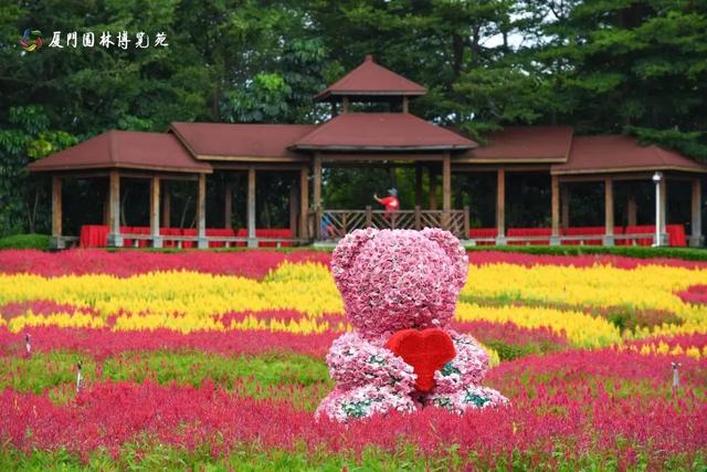 梦幻花海、丰收节、土楼晒秋！这些宝藏地美成壁纸→