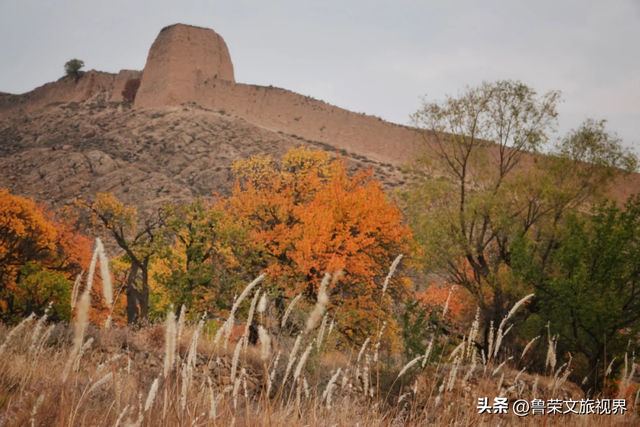 古城不止热门款？大同的秋，有比敦煌更静的佛，比江南更野的山