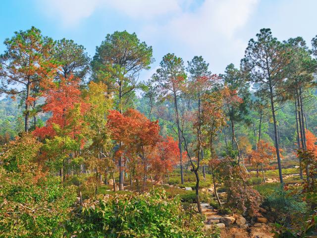 又见天平山：一叶知秋，一枫醉心