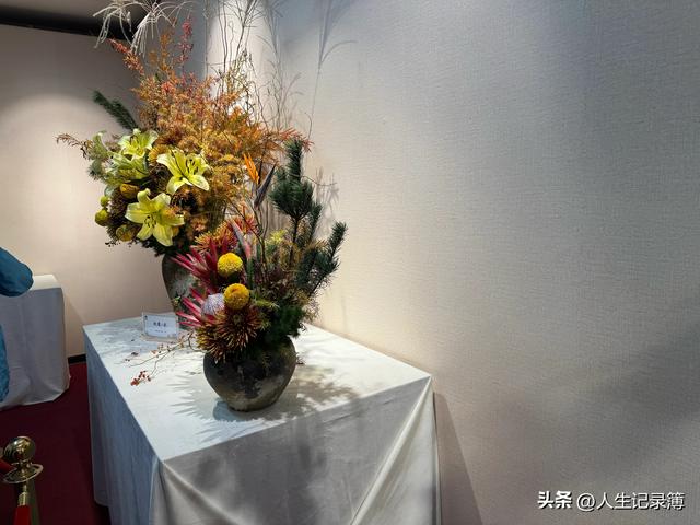 周一陪小姑子去北海公园看菊展