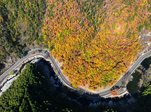 调色盘已打翻，泰山西麓这场初冬色彩之约别错过