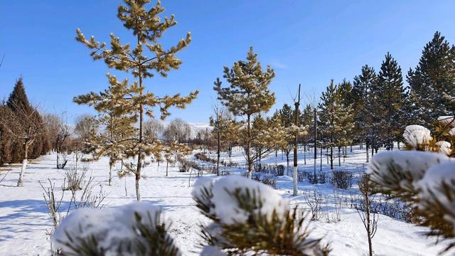 雪染古浪 一城素韵