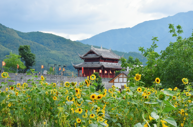露思，青川除了葛根茶和山珍，还有超多美景，避暑纳凉，我在青川等你~