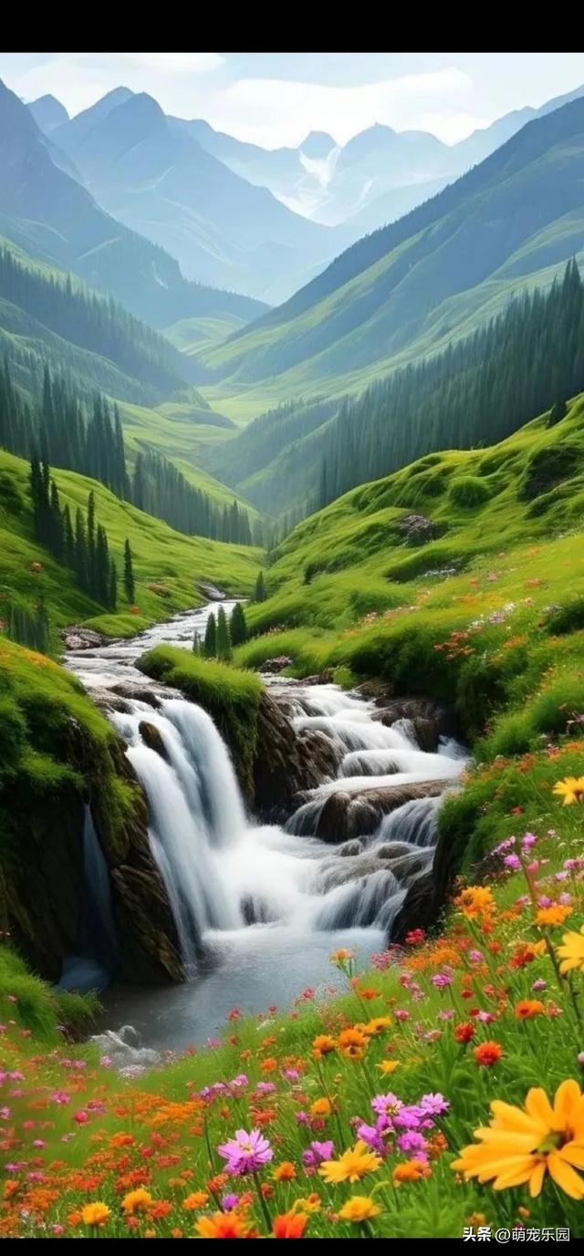 山顶古松傲然挺立，云雾缭绕如仙境，我竟品尝到超然物外的滋味