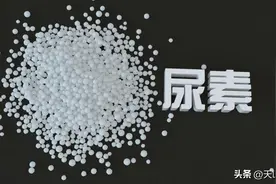 尿素红糖肥水的比例应如何配比？图片