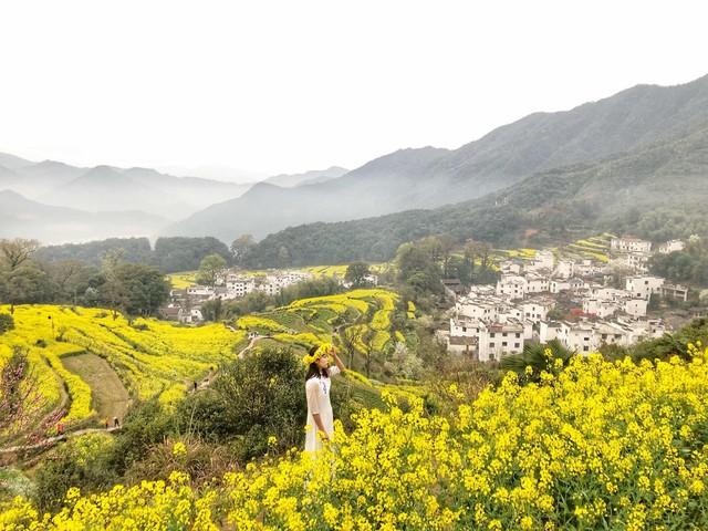 婺源篁岭，那一面朝南的山坡，全是春天