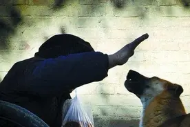 宠主再生气，狗狗这5个部位也不能打，否则会丢了“狗命图片