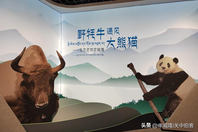 拉萨市：参观西藏牦牛博物馆