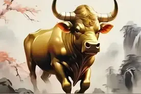 中国42家上市银行股息率及分红情况总结图片