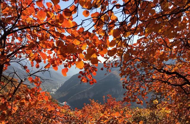 秋日登高:为何秋天的山更值得爬?