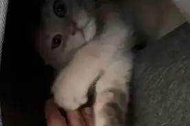 可爱表情包 | 躺着真舒服啊图片