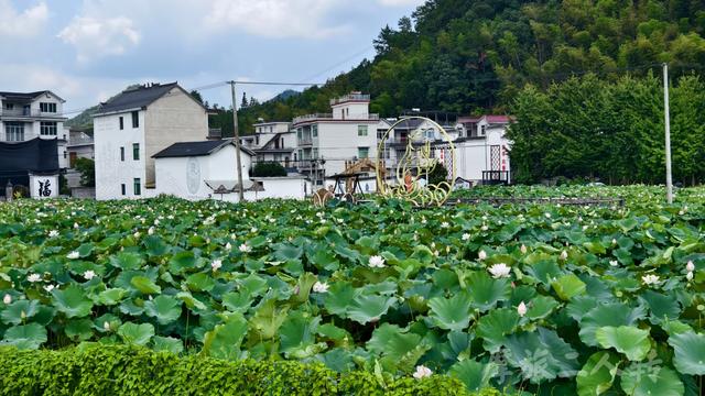 皖浙摩旅二人转——芹川古村篇