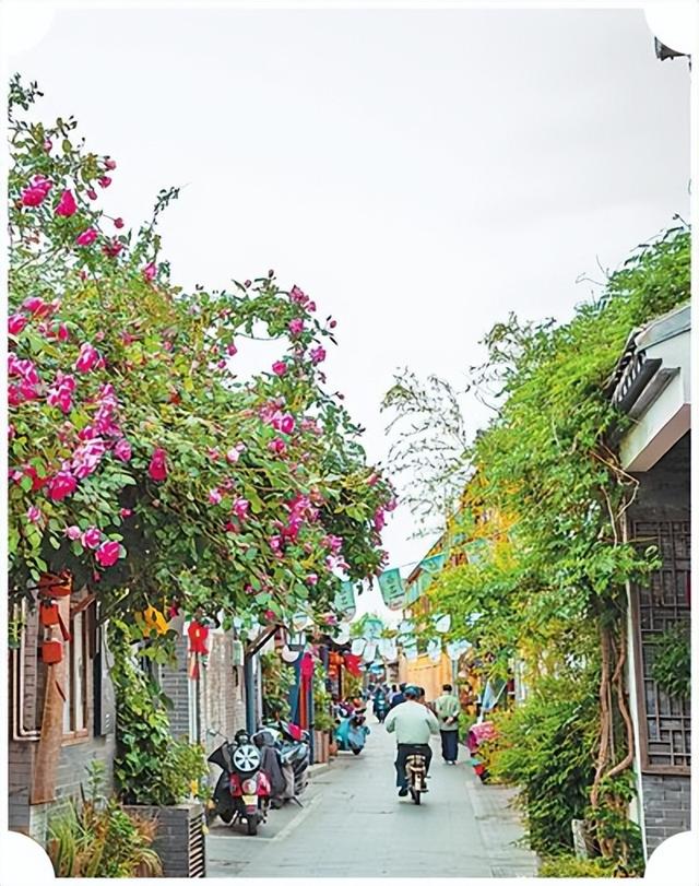 人民日报关注｜扬州持续推动古城保护与复兴