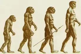 人类能直立行走是小概率事件？明明可以爬，为啥人类要站起来？图片