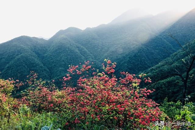 免费营地！浙江绍兴自驾游免费停车营地，经典景区，特色美食推荐