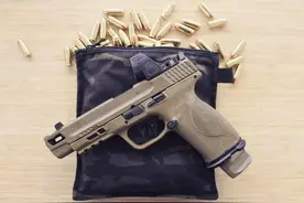 目前在美国民间最受欢迎的10种枪支图片