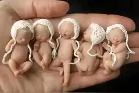 湖南女子诞下五胞胎，家庭和社会共迎惊喜。图片