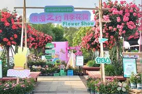 @苏州人 盛泽湖月季公园相亲游园会即将开启图片