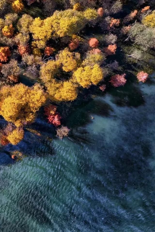 大理又要开“滤镜”了