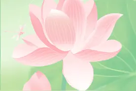 “荷”你邂逅！贵阳贵安这8个绝美赏荷地等你来打卡🤳图片