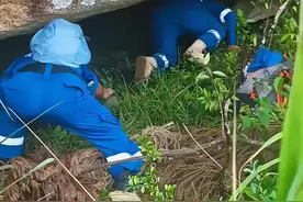 福建8岁男童遗体找到了！警方通报，最后还是死在了山里图片