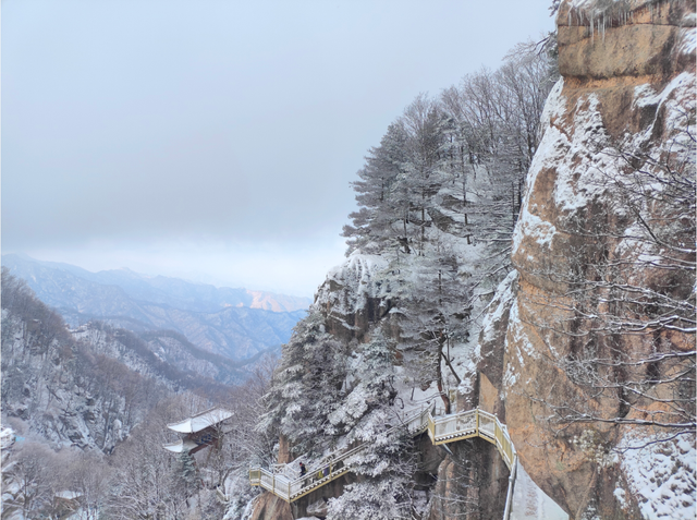 告别秋景，奔赴鸡峰山的第一场雪｜冬日旅行启动