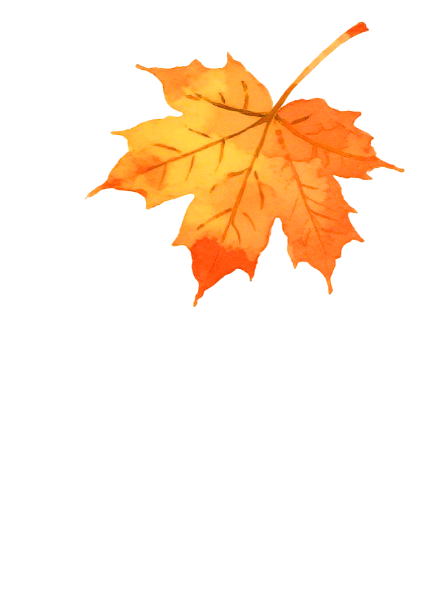 【漠南风】摄影专辑｜行走达茂 定格风光掠影