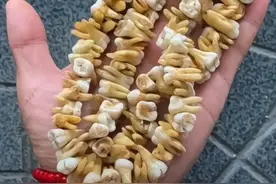 绿化带要被薅秃了！文玩——万物皆可盘图片