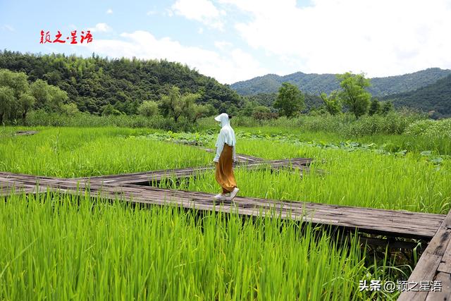 东钱湖畔下水村，南宋最风光，湿地公园免费开放