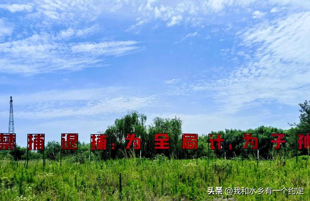 沅江南洞庭湖：一张会呼吸的湿地名片，等你来深呼吸！