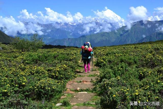 九死一生穿越「雅鲁藏布大峡谷」！西绕大叔的传奇人生