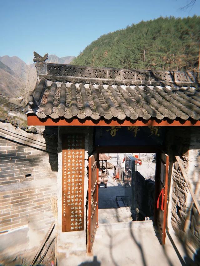 不必远行！汉中武乡万亩花田浪漫上线