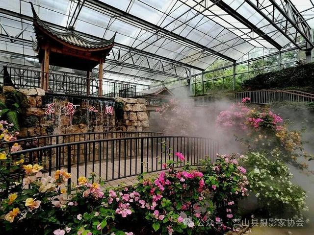 李永辉：寻芳“花舞人间”