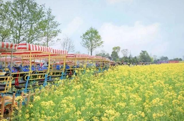 春日郫都随手拍 | 用脚步，丈量郫都的春天（文末送福利哦🥳）