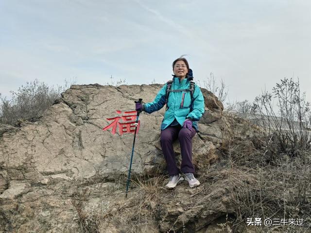 无为在歧路，冬日鹤伴山