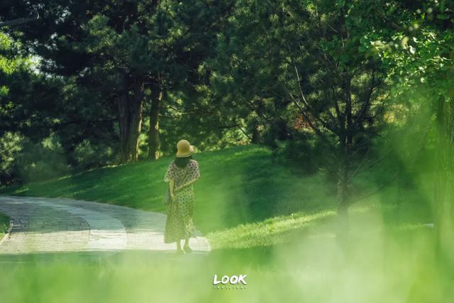 绝对不可以,错过这片金秋稻田