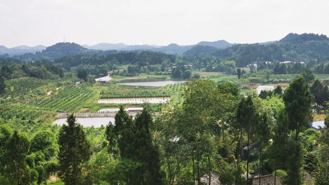到四川省乐至县旅游两天,见识了真正的人间烟火气