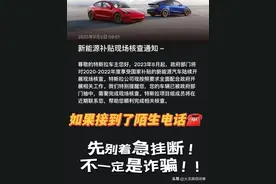 特斯拉面临国家补贴核查，公众密切关注图片