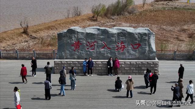 【黄河口生态旅游区】清明踏青正当时|黄河口人气爆棚,各景点游人如织!
