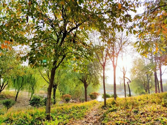 那些免费的幸福：日出、快乐和四季，原来我们已经拥有了所有！