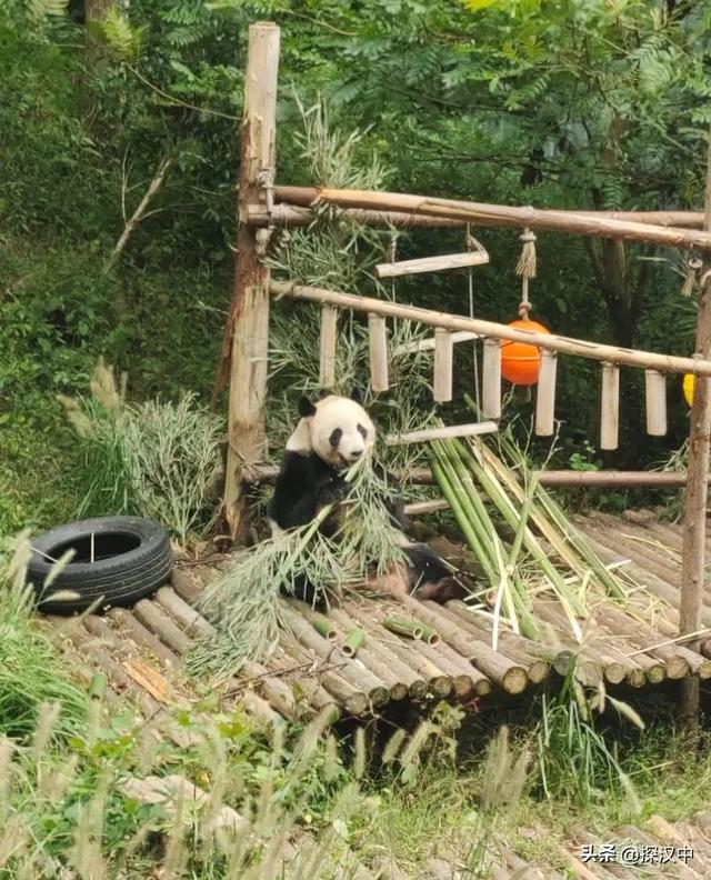 从黔到渝，风景一直在路上