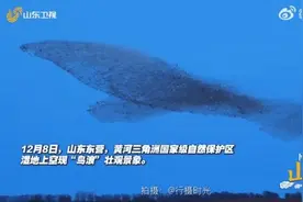 奇观！山东一地天空出现“巨鲸”！网友：太震撼，有了鲲鹏的画面感图片