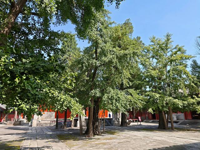 京西秘境：探访皇家古刹承恩寺的传奇往事！