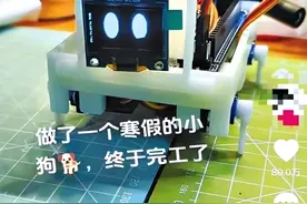 大二男生“手搓”电子狗引来十几个订单图片