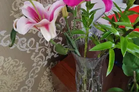 男女双方确定了恋爱关系，双方家长什么时间见面？带什么礼物好？图片