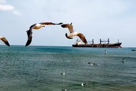 不要再纠结威海、烟台，直接去荣成吧图片