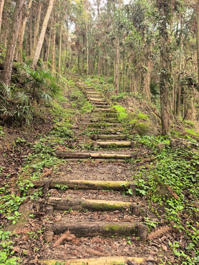 成都春假徒步好去处！超小众亲子游野趣路线，10元斋饭美味又健康